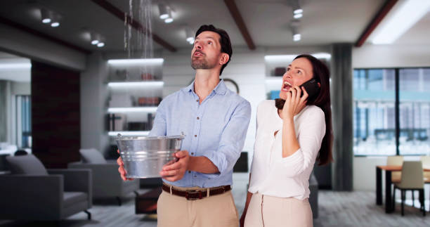 Professional Water damage restoration in Pine Canyon, CA